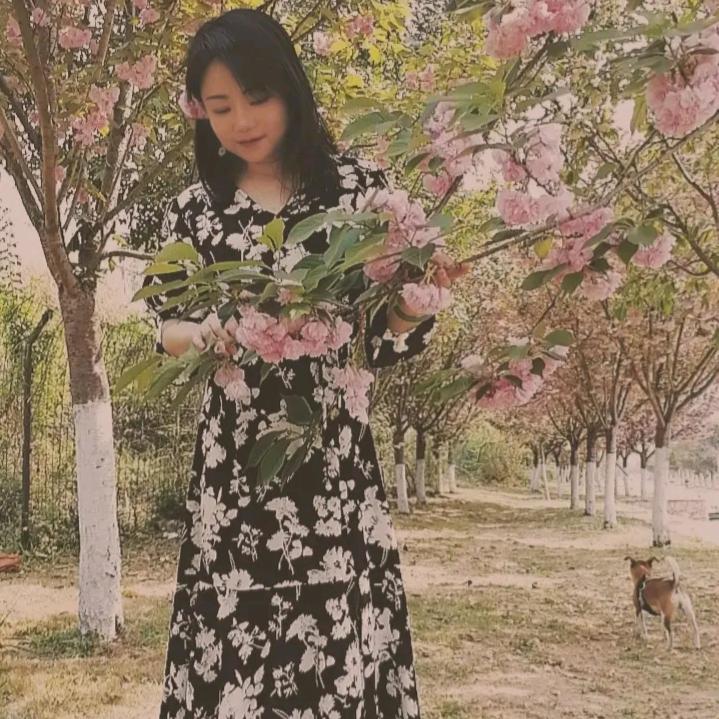 幽梦💙
