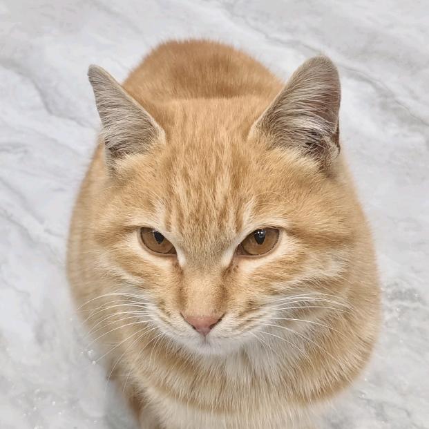 远