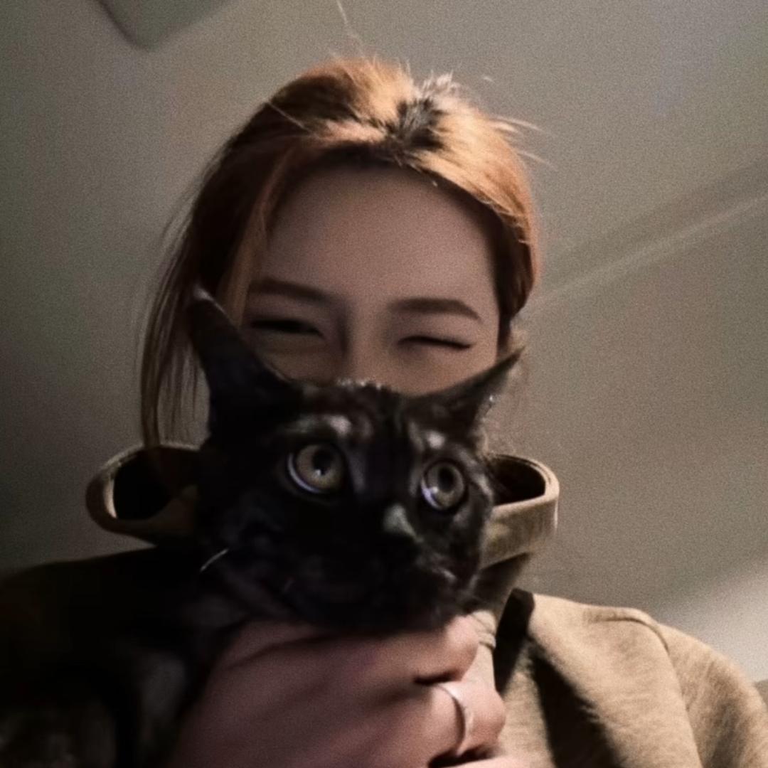 阿兰耶.