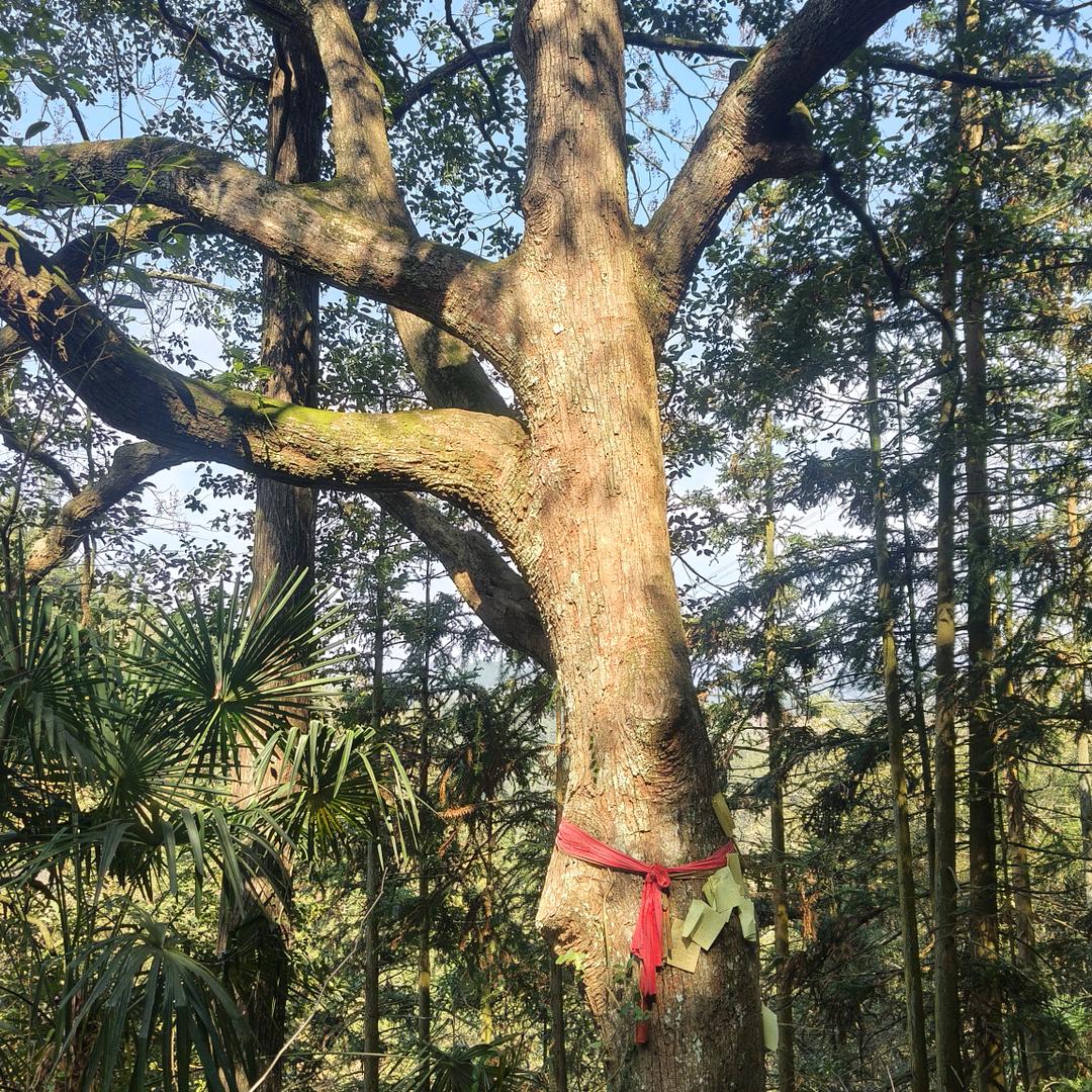 凯里装修设计老许