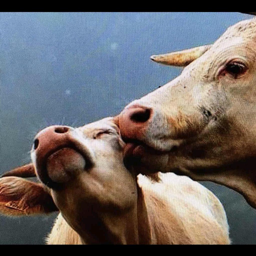 80后失败的人生