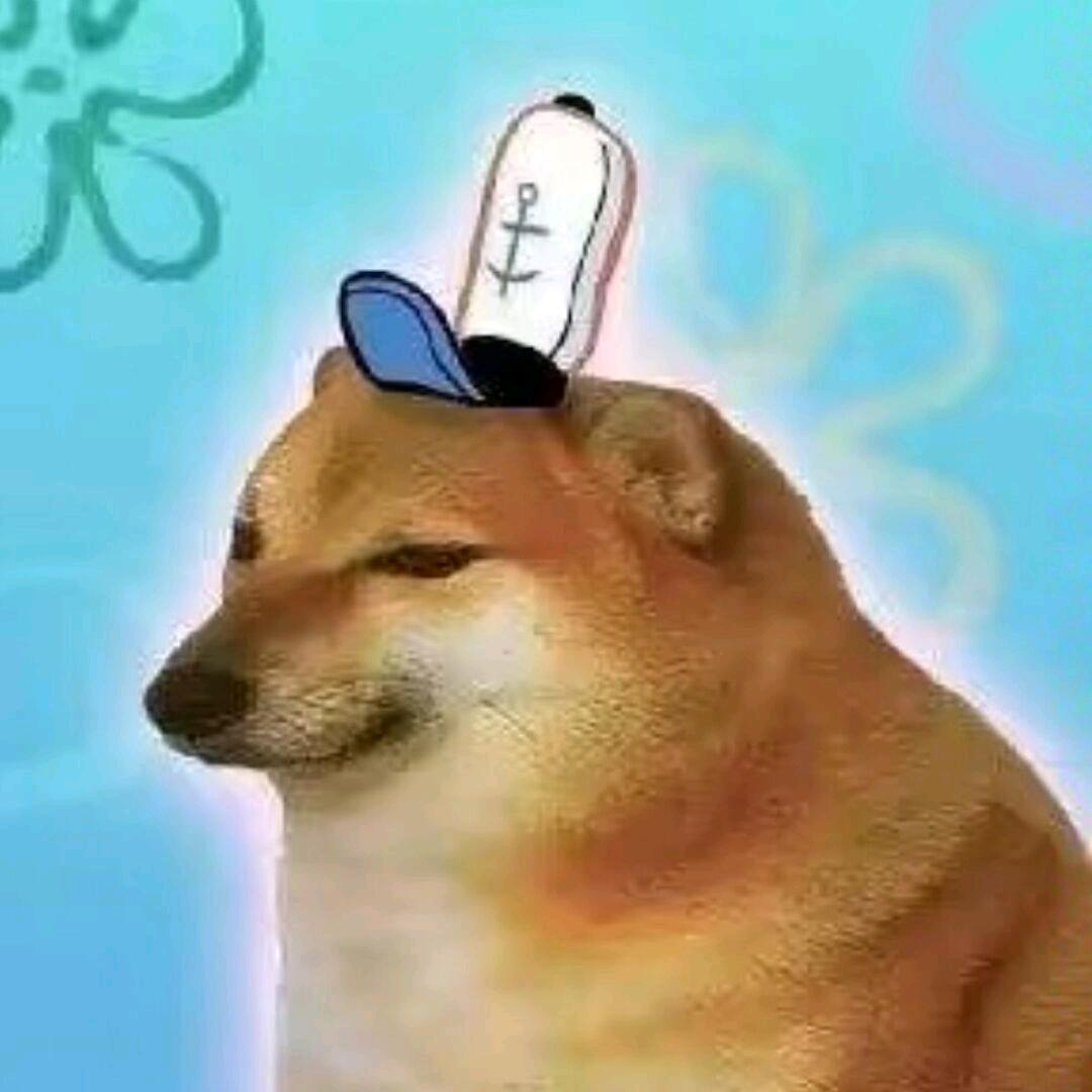 海盐同学