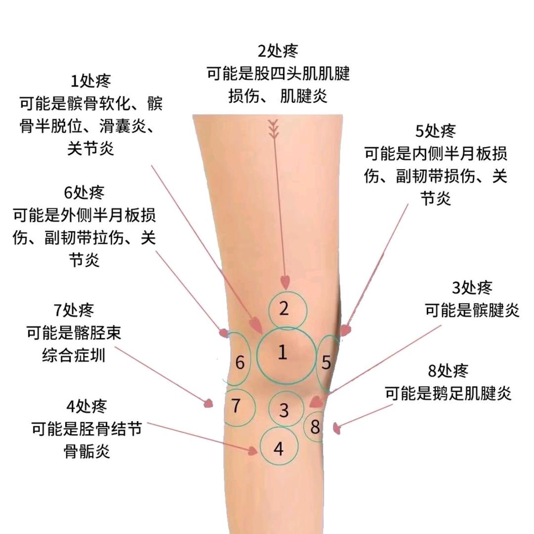 有一手（修理不老盖）