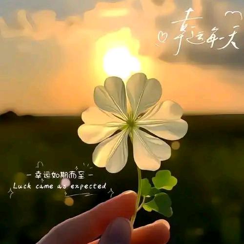 余生随心💞᭄ᩚ꯭
