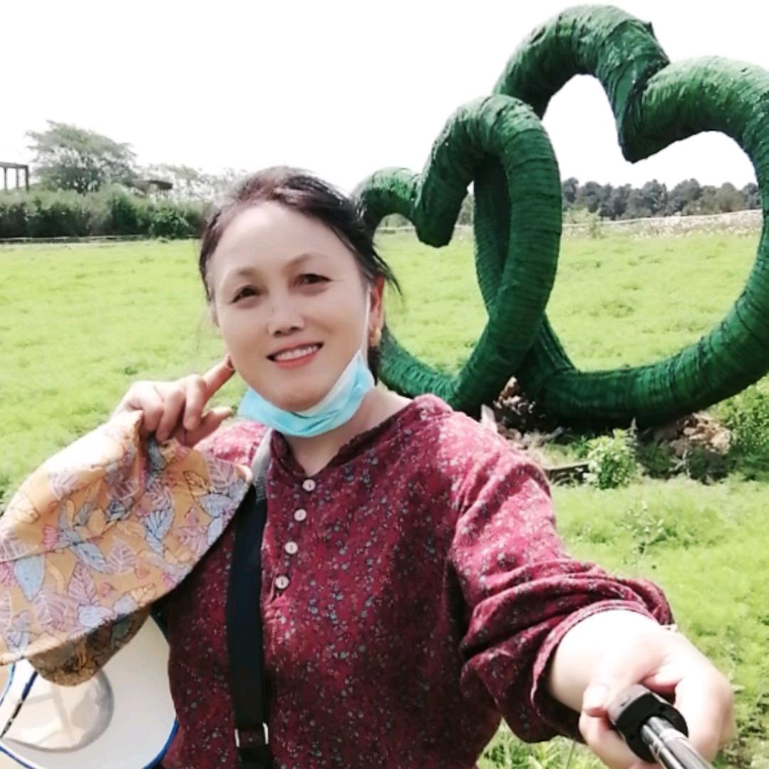 易梅