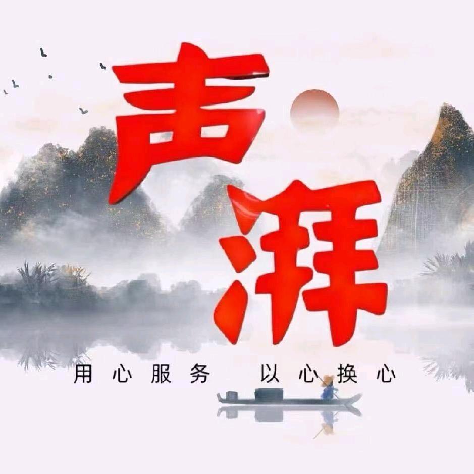 声湃汽车音响  David