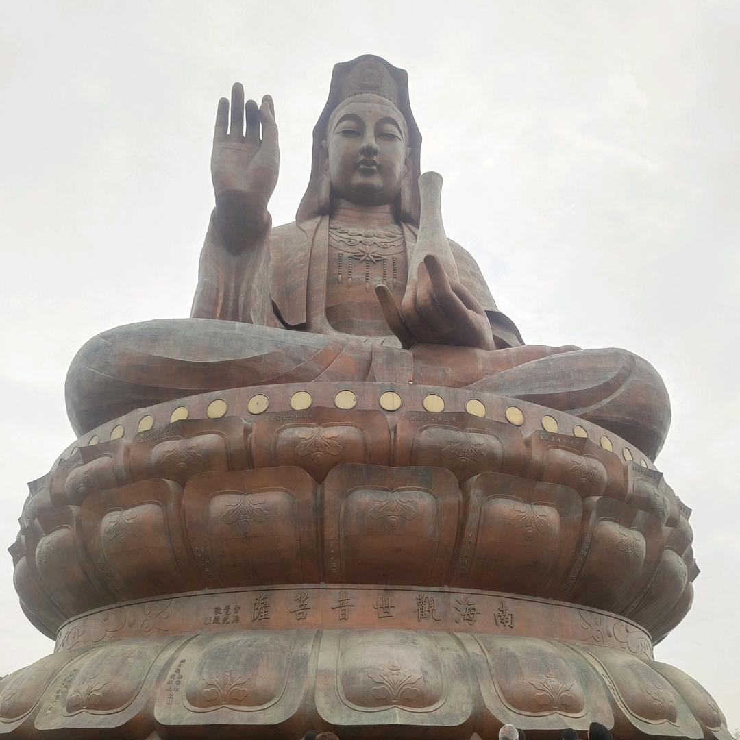 陈心陈意
