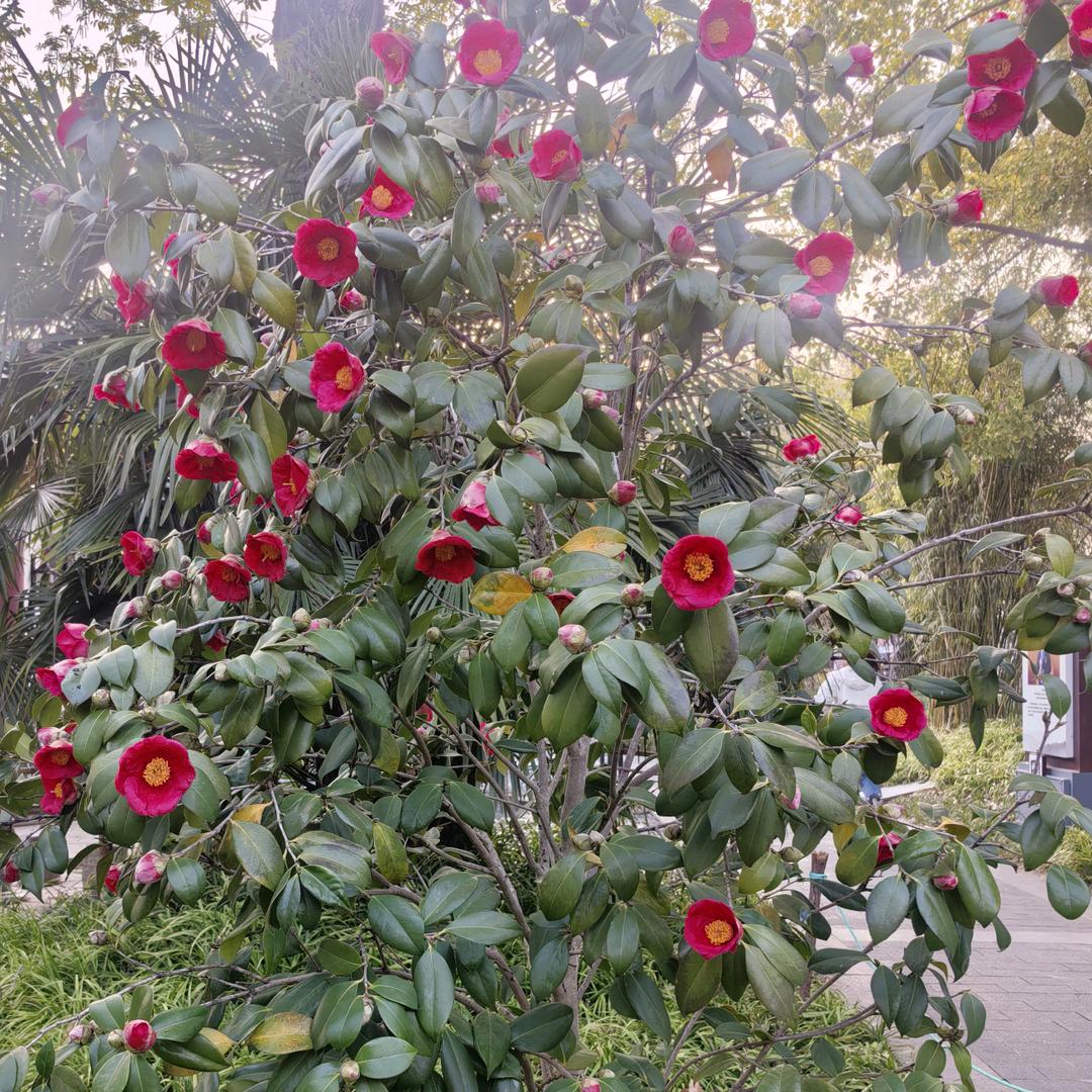 幸福是奋斗出来滴