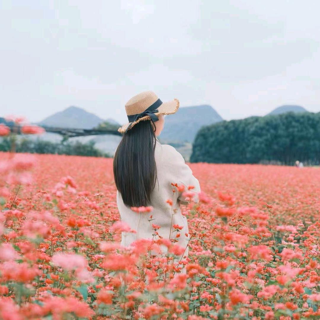 清风💞徐来