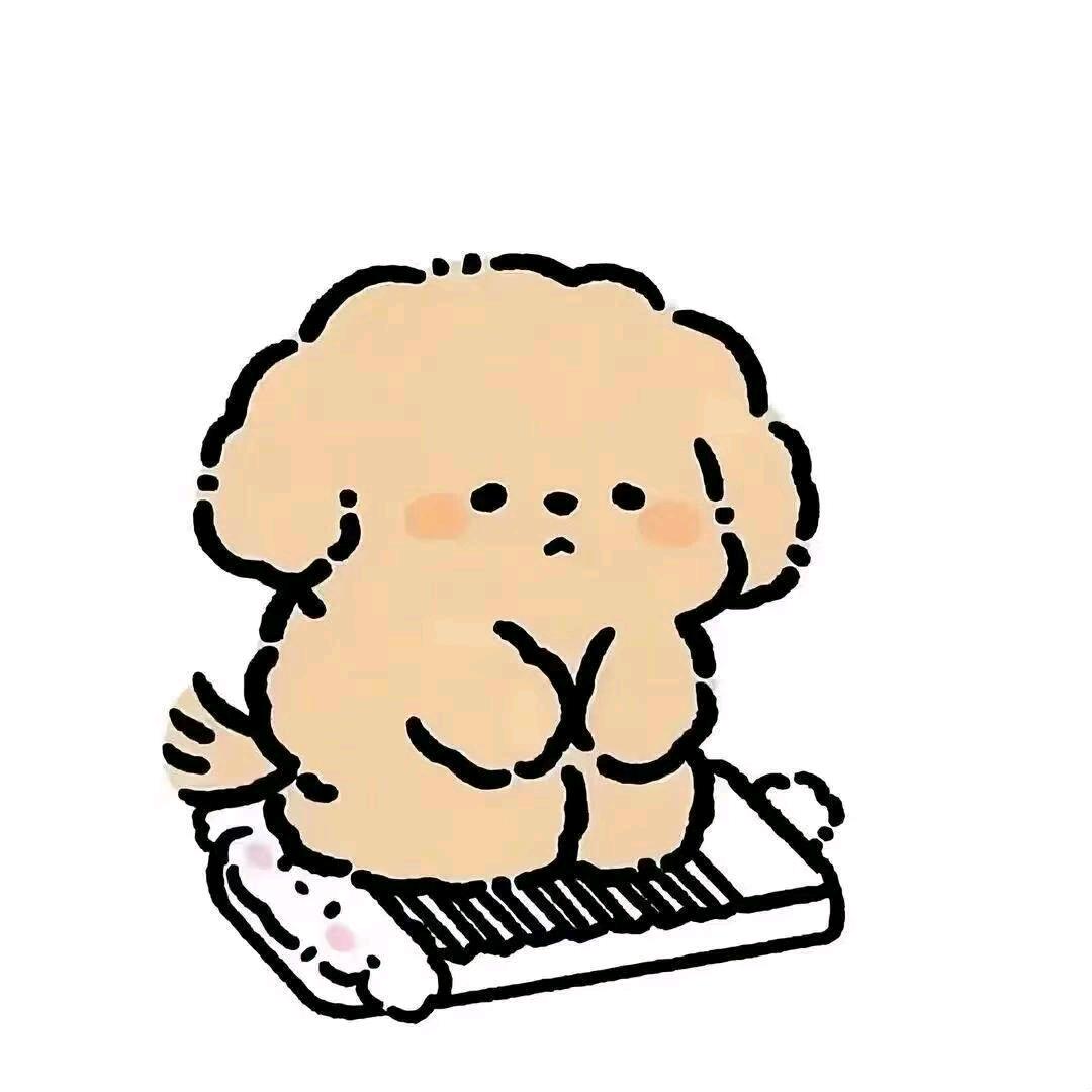 小l同学