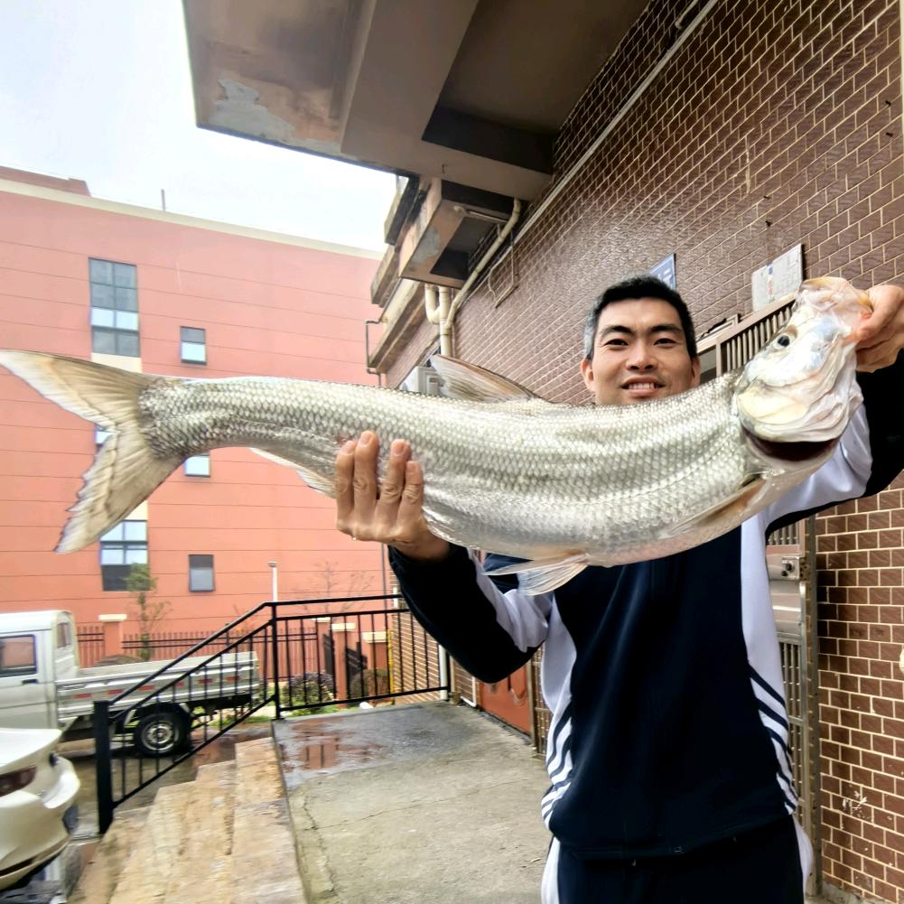 臭屁哟爸爱钓鱼