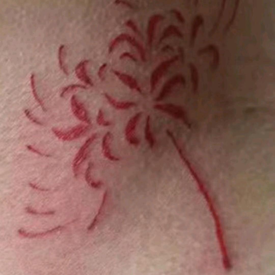 💞ℳ๓彼岸花💖💘