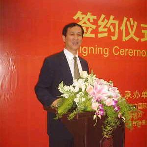 大鲨鱼