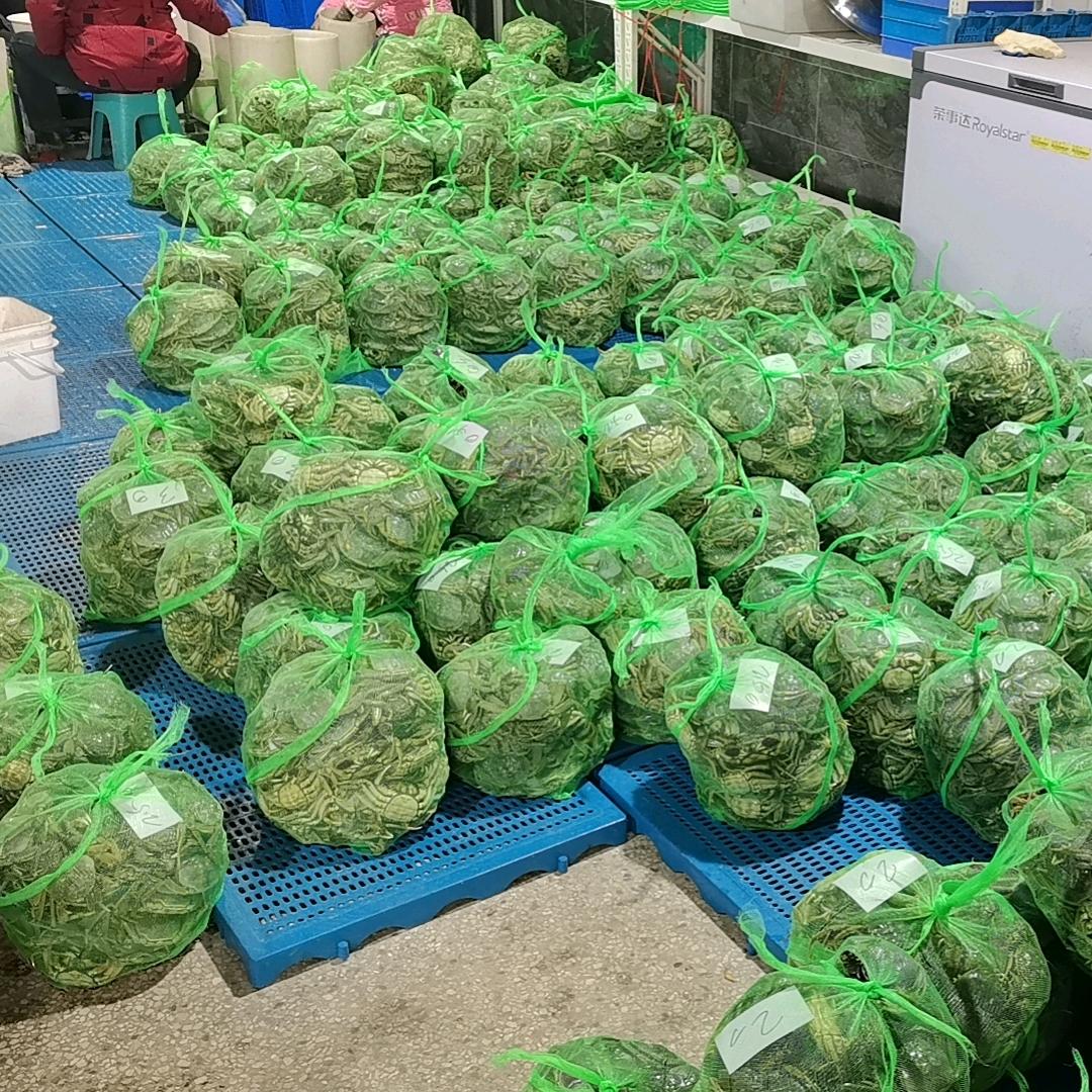 小龙精品大闸蟹