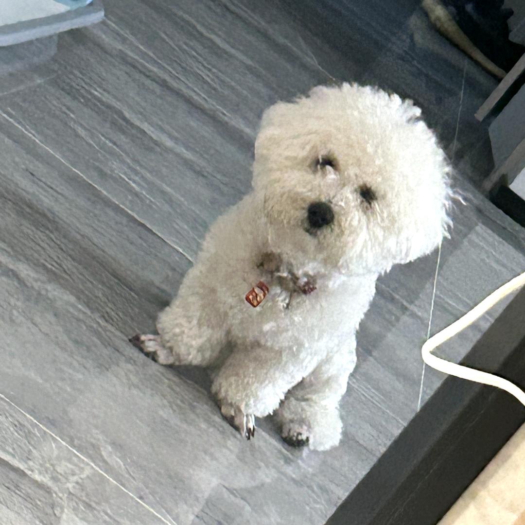 文森特三角洲跑刀第一人