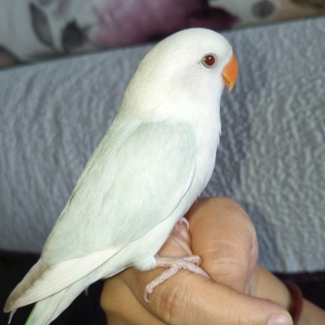 淘二家
