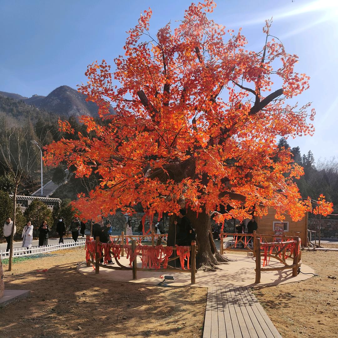 秦掌柜牛肉汤【工程大学南门】