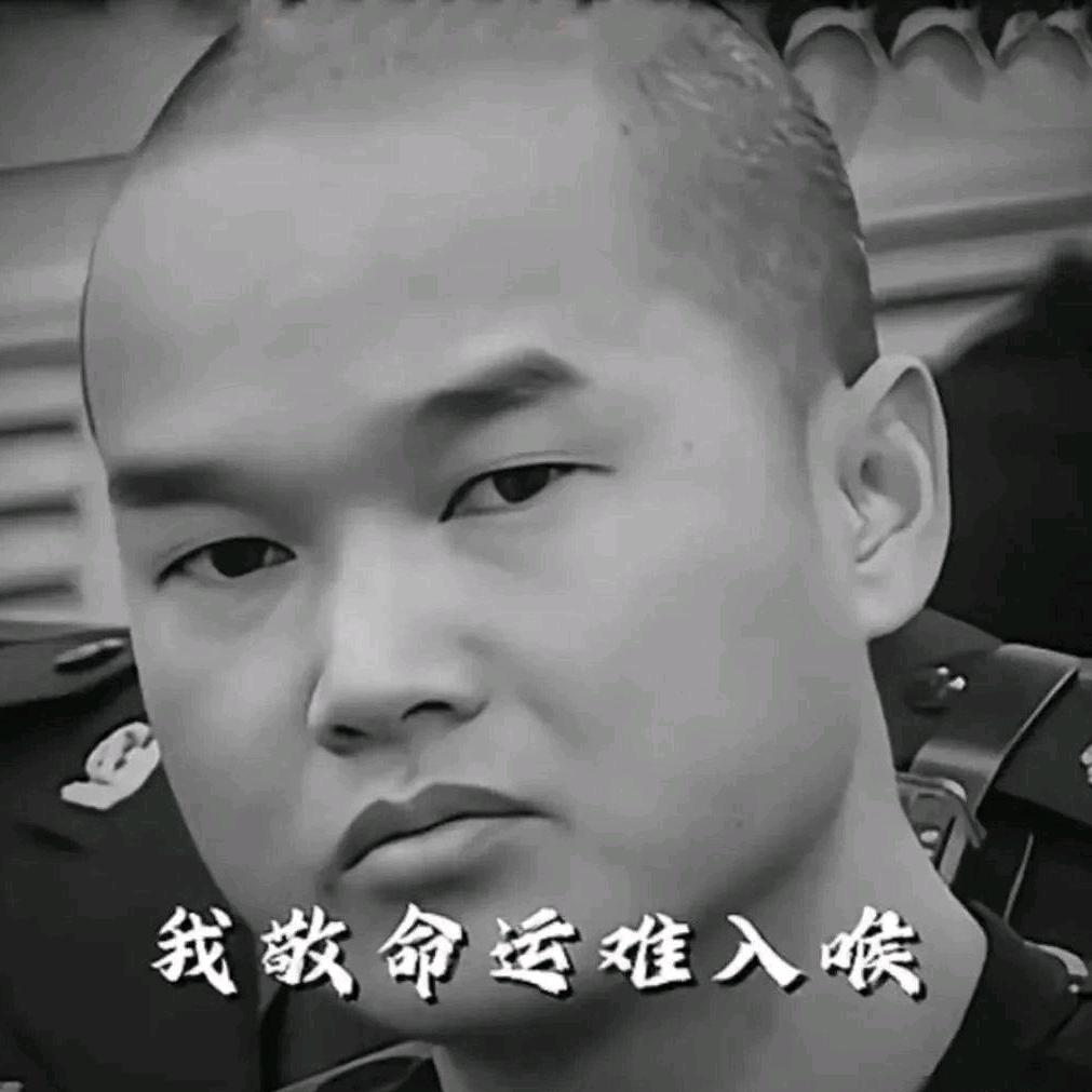江湖再没哥