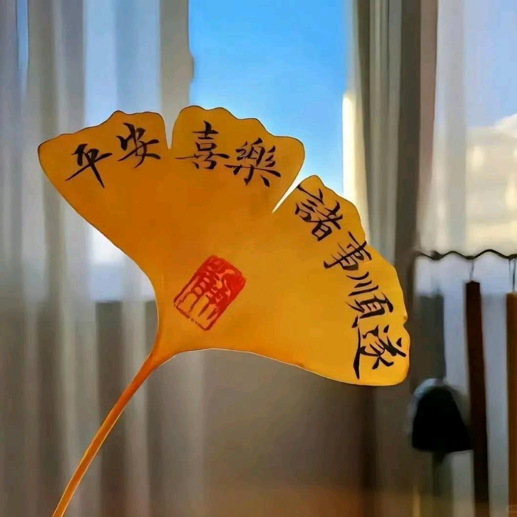轻盈舞舞