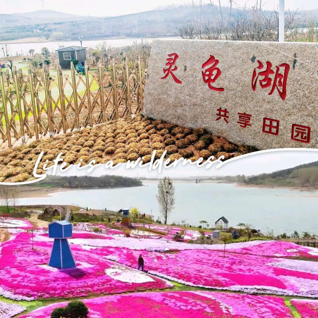 灵龟湖共享田园有机农场