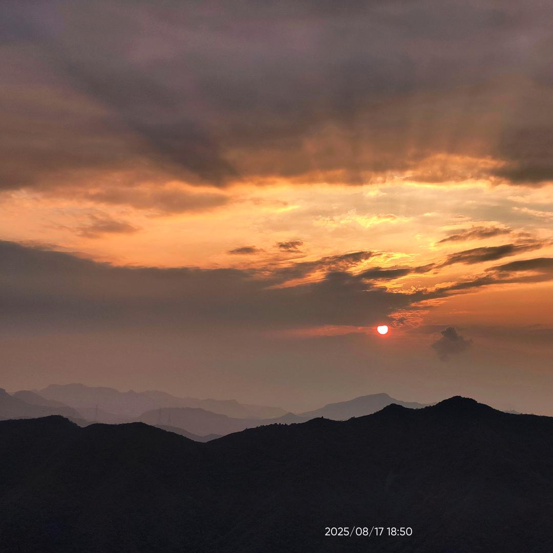 会派牡丹孟布罗