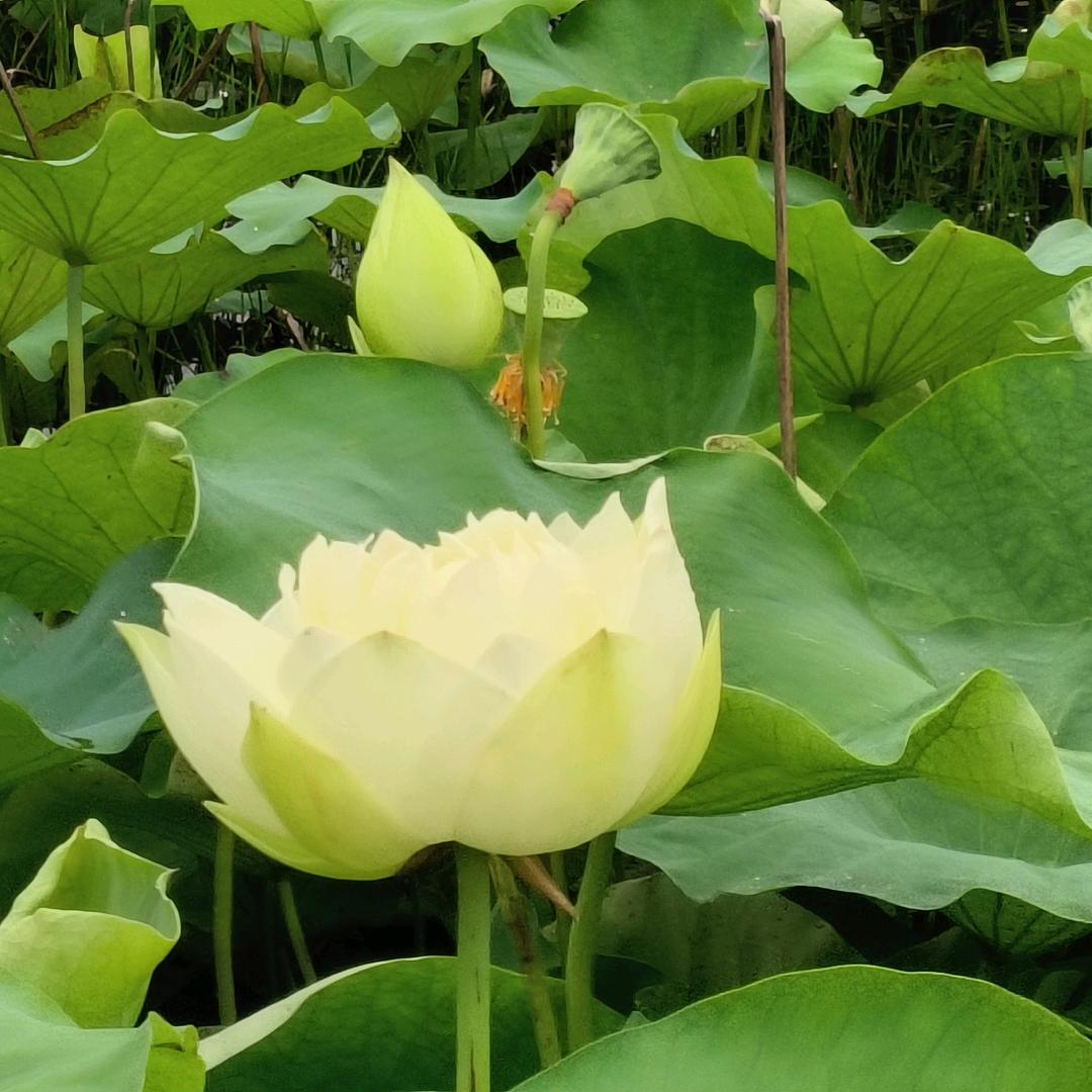 《重启人生》