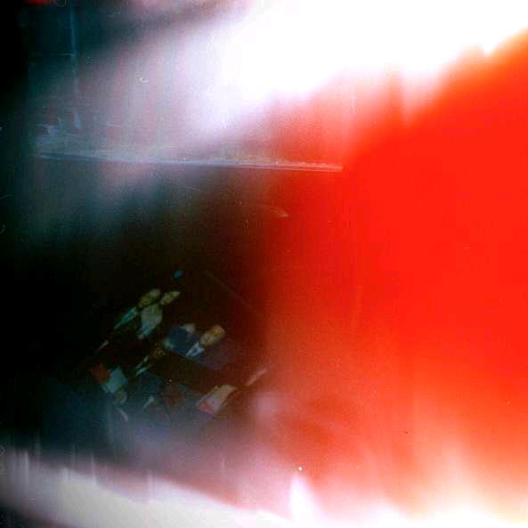 发大财的严谨迅猛龙