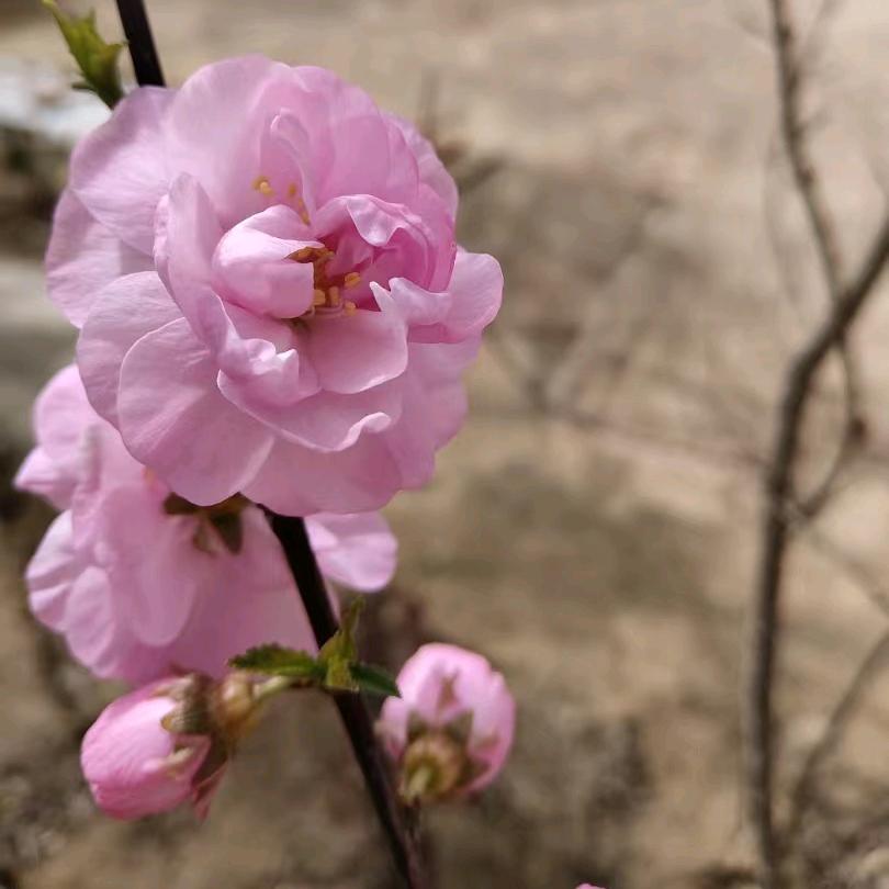 华姐照顾老爸的日常生活《拒私聊》