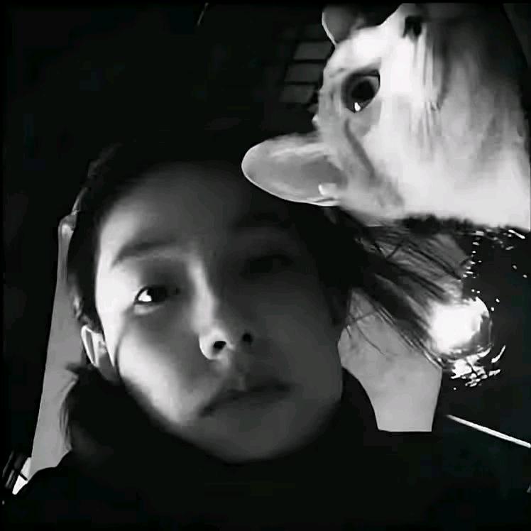 吴云☁️