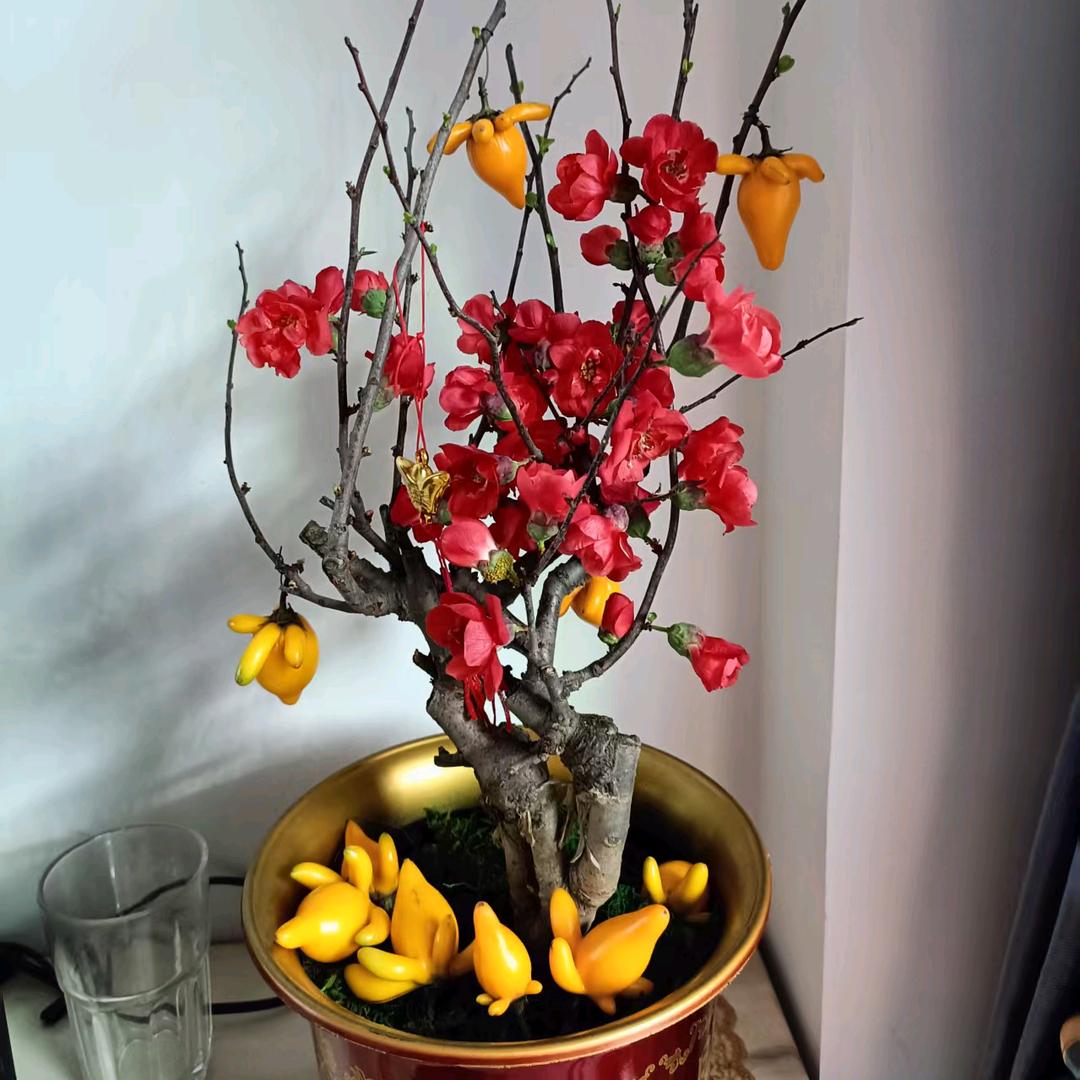 惠东客家咸鸡小燕