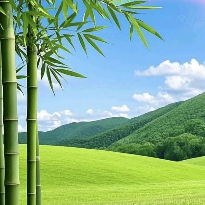 心若沉浮