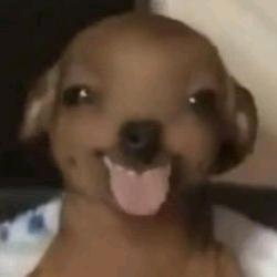 泪瘾痛