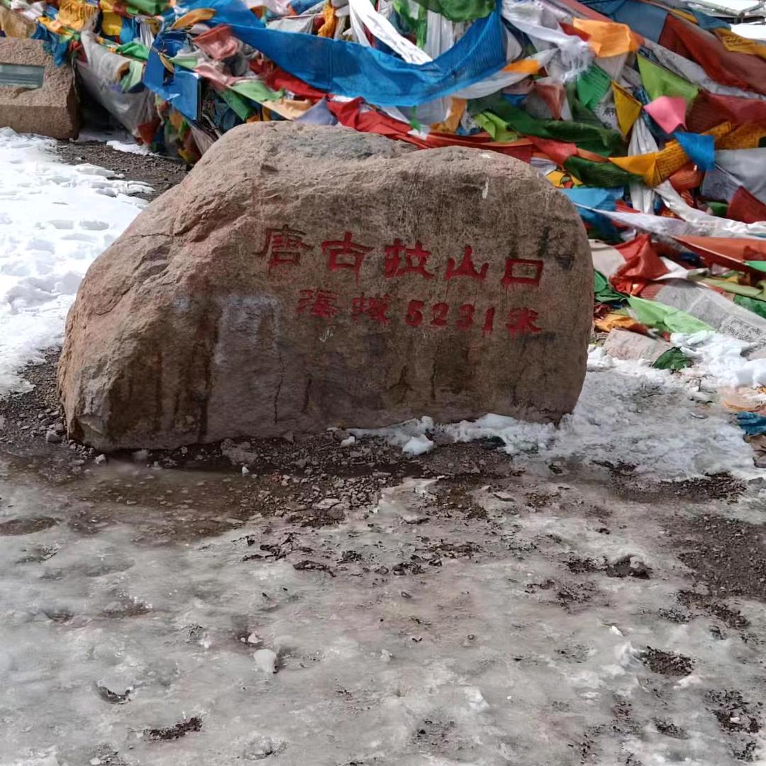 聚友通天下