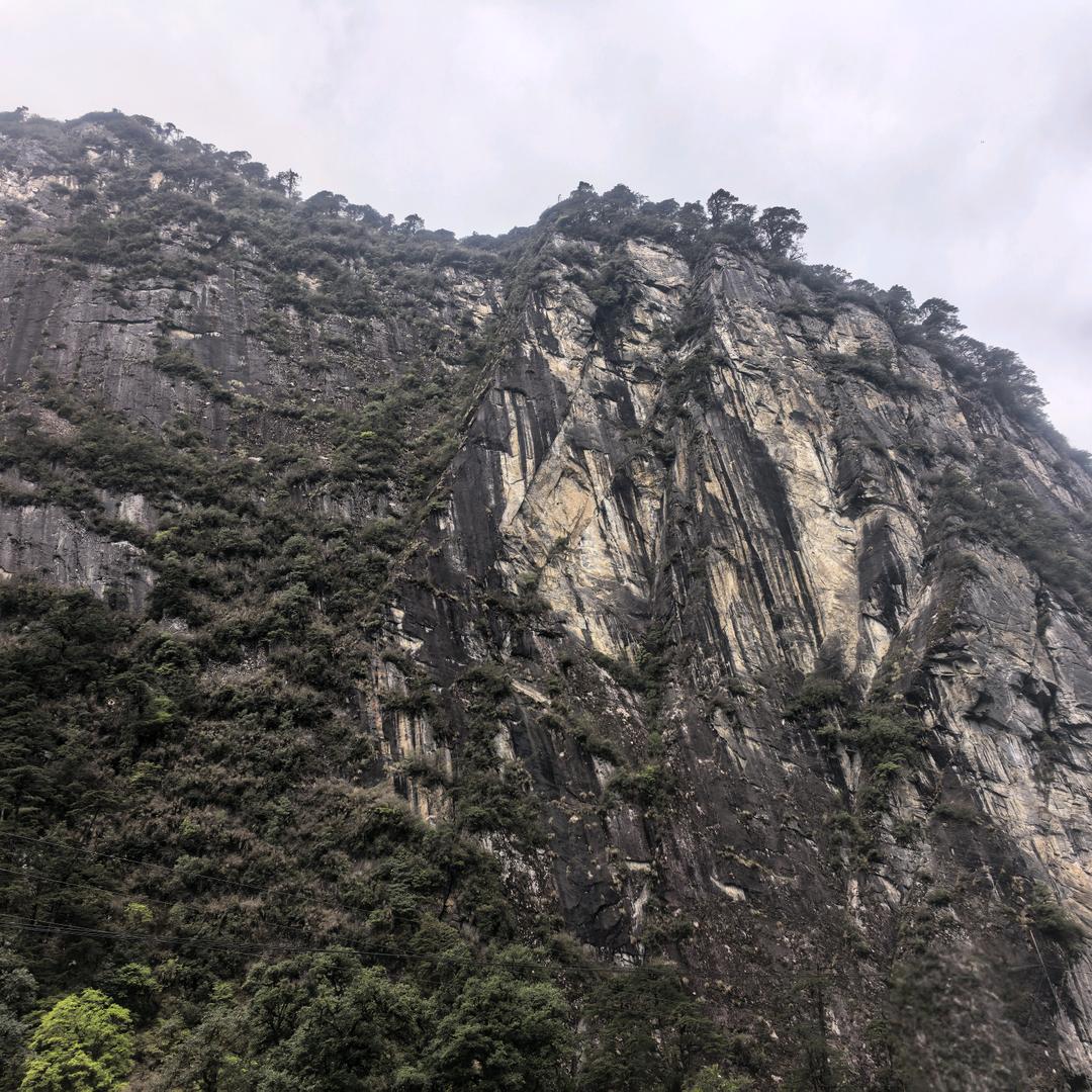 圆润无爱