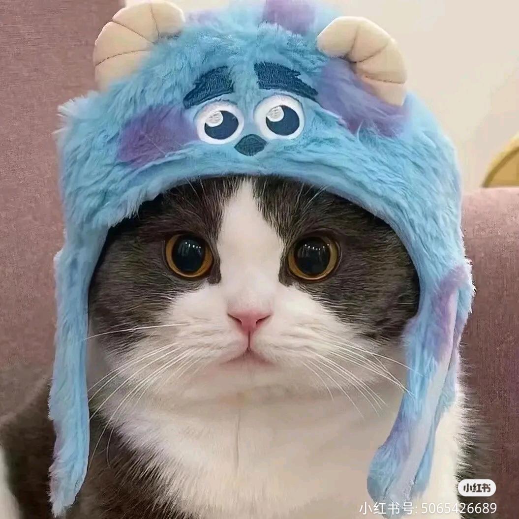 ⑦月十號