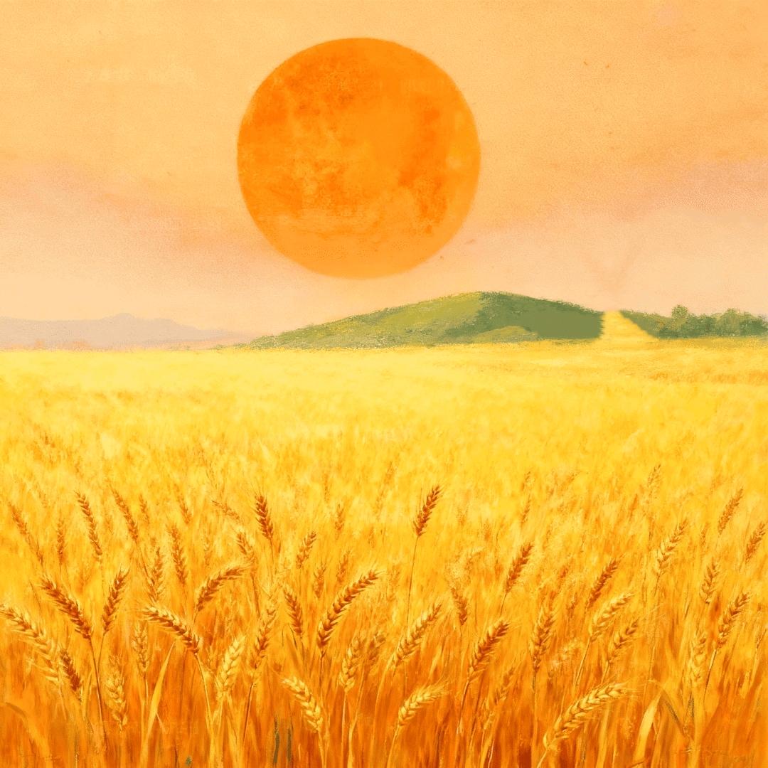 阿丛的陪练实验室