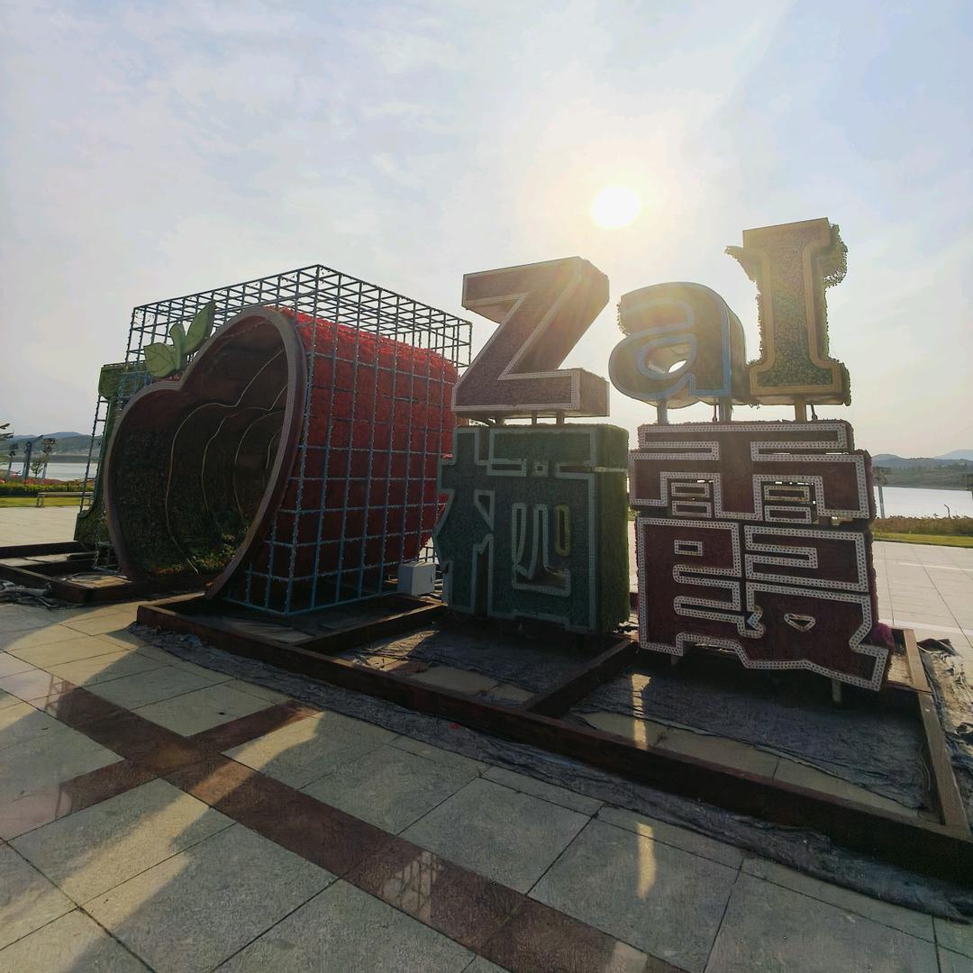 地瓜的宣传委员