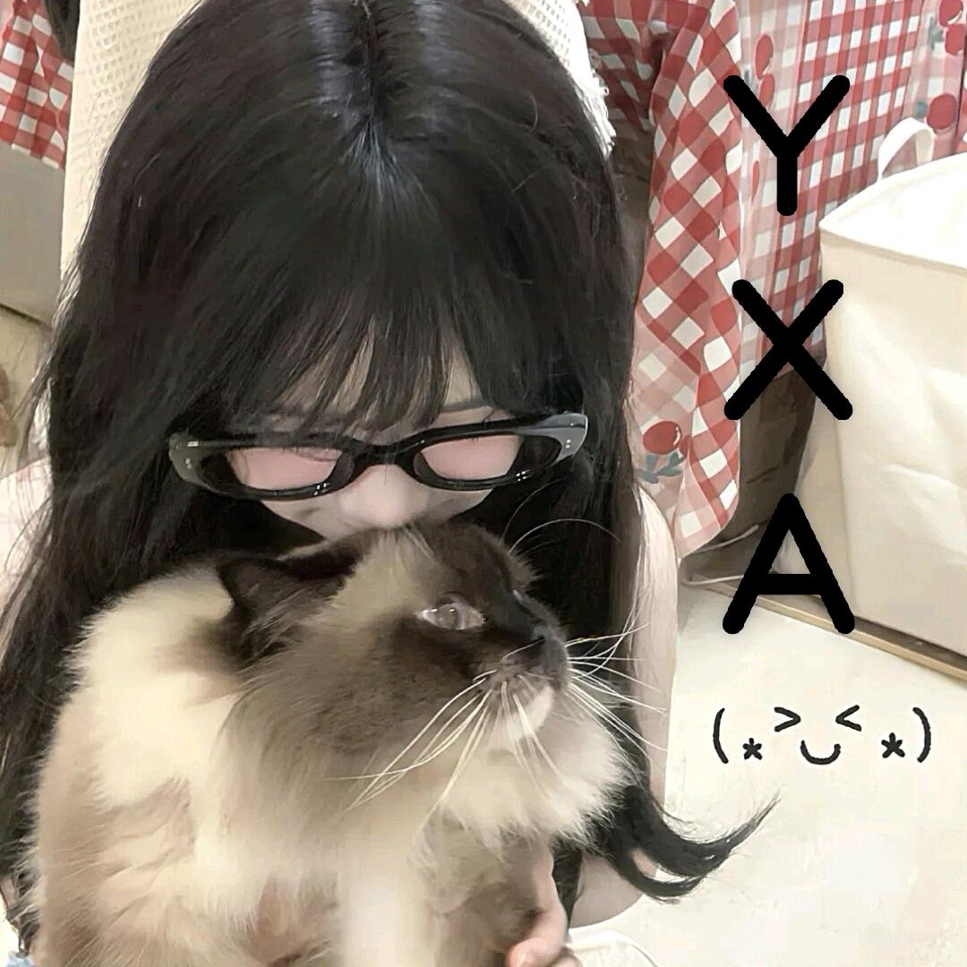 ㅤ ㅤ ㅤ ㅤ ㅤ