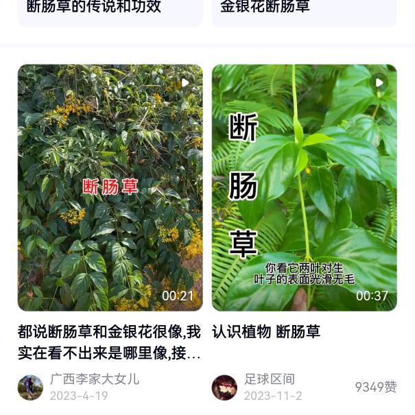 啊少河池本草