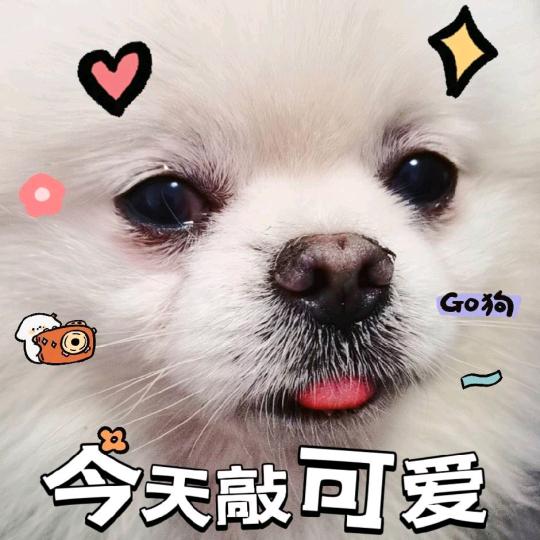 果农小店店