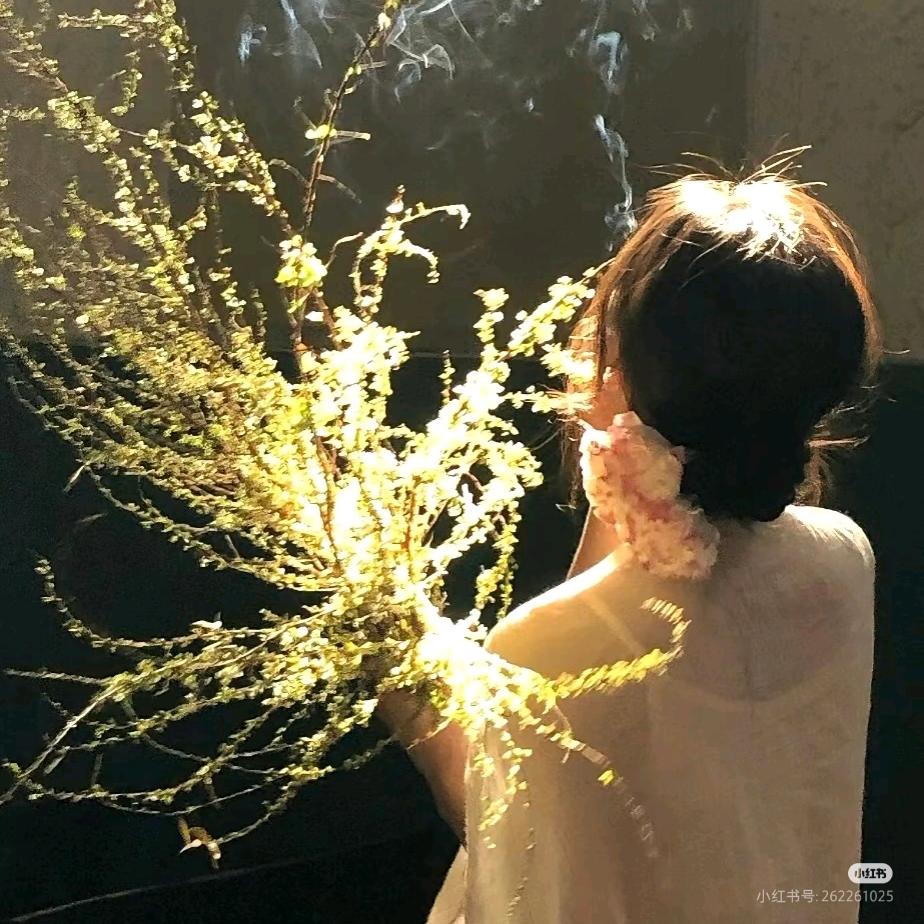 我一口饭扔亖你