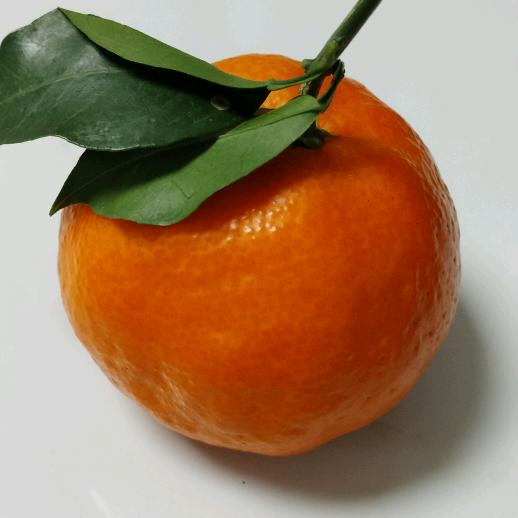 逆转