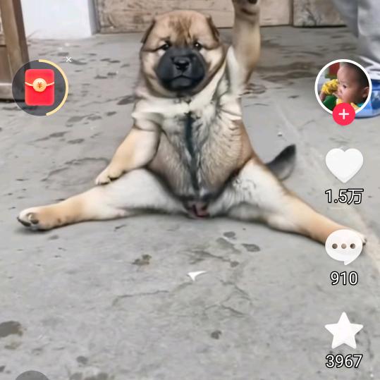 用户5066230247900潘生