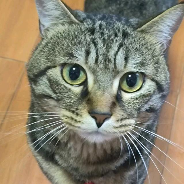 詹一心