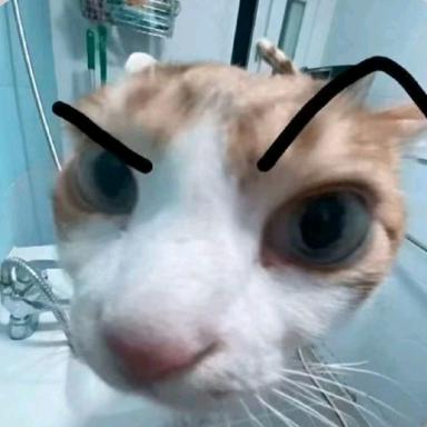好耶好耶