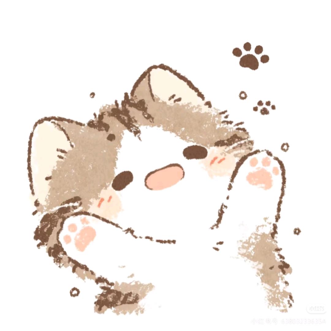 仙女味的乔可爱ʳ🪼