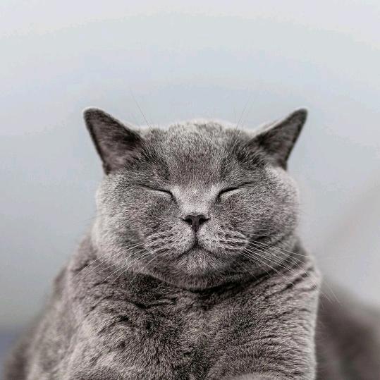 芬姐好物推荐🌟