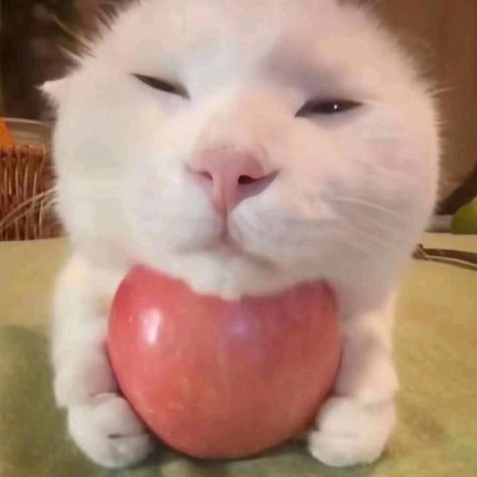 N   .