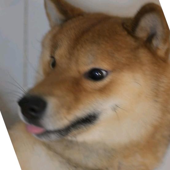 修狗来福