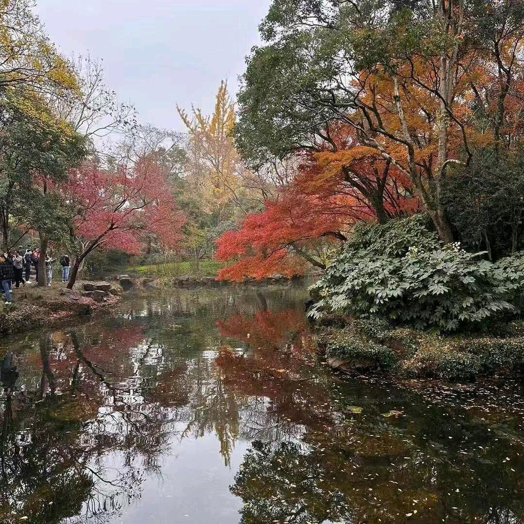 平平淡淡